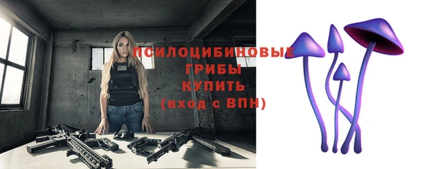 тгк Алексеевка