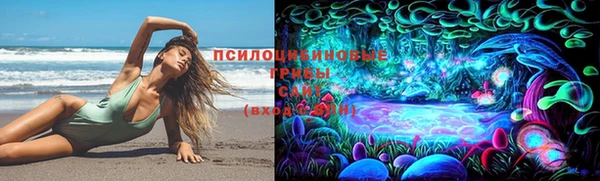 скорость Алзамай