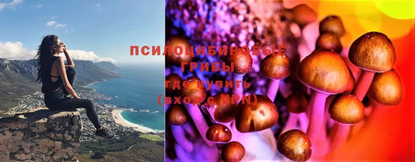 тгк Алексеевка