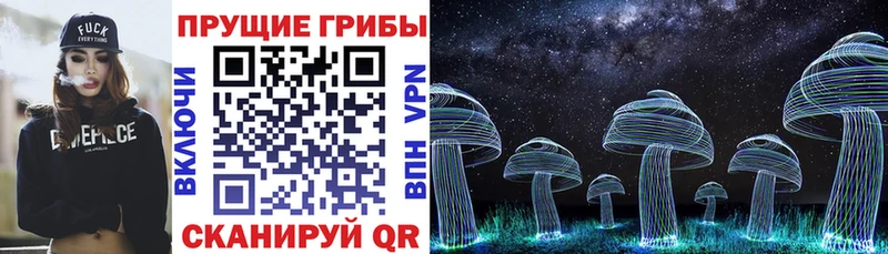 Псилоцибиновые грибы Psilocybine cubensis Кашин