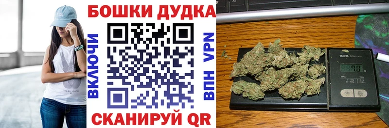 Канабис сатива  blacksprut маркетплейс  Кашин 